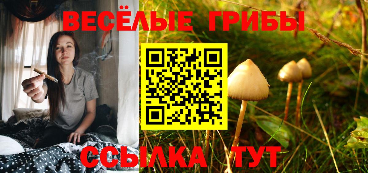 Старая Русса  Псилоцибиновые грибы MAGIC MUSHROOMS  Вход с VPN 